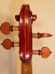 Alte Geige Violine 4/4 Old Violin Italian Labeled Pietro Gallinotti Violino Musikinstrumente Bild 5