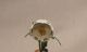 Hubrig - Volkskunst Blumenkinder / Blumenmädchen Mit Märzenbecher 307h0065 Objekte nach 1945 Bild 1