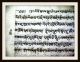 Tibet.  Tempelbuch,  Handschrift,  Astrologie,  Ca.  126cm Lang,  Komplett,  Um1600 - Rar Antiquitäten & Kunst Bild 13