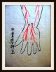 Traditionelle Japan.  Medizin - Handschrift,  Seikotsu - Jutsu,  Handkoloriert,  Um 1700 Antiquitäten & Kunst Bild 4