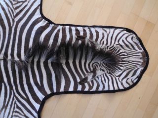 Echtes Zebrafell Aus Afrika - Exotisches Schmuckstück - Wohnkultur 160x250cm Bild