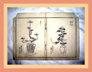 2 Japanische Holzschnitte,  Tokugawa - Schogunat,  Reis - Papier,  Ikebana - Kunst,  Um1600 Bild