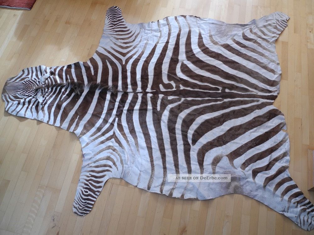 Echtes Chapman - Zebrafell - Exotisches Schmuckstück - Wohnkultur 200x250cm Jagd & Fischen Bild