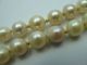 Schöne Echte Alte Salzwasser Perlenkette Mit Einer Schließe Aus 750 Weißgold Ketten Bild 4