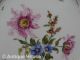 Teller Wandteller Stadtmeissen Bunte Blume Durchbrochener Rand Handgemalt - 01 Nach Form & Funktion Bild 1
