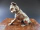 Jugendstil Terrier Bronze Paperweight Dog Hund Art Nouveau Briefbeschwerer Stone 1890-1919, Jugendstil Bild 9