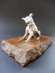 Jugendstil Terrier Bronze Paperweight Dog Hund Art Nouveau Briefbeschwerer Stone 1890-1919, Jugendstil Bild 8
