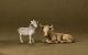 Willow Tree Ox And Goat Ochse Und Ziege 26180 Krippe Weihnachten Susan Lordi Krippen & Krippenfiguren Bild 1