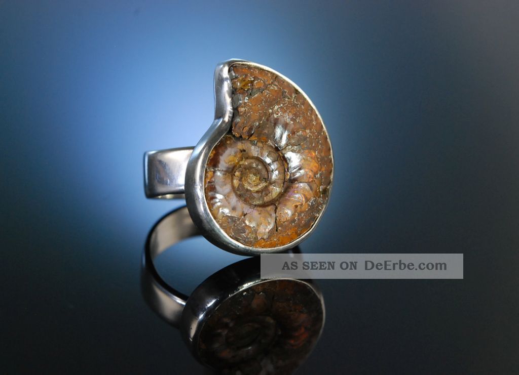Seventies Grosser Vintage Ring Sterling Silber 925 Ammonit Fossil Versteinerung Ringe Bild