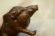Alte Antike Massive Orig.  Bronzefigur Tierfigur Wildschwein Um 1900 - 1920 Bronze Bild 5