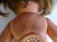 Antike Schildkröt Puppe Für Den Puppen Doktor Zum Restaurieren Schildkröt Bild 4