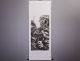 Chinesisches Rollbild Auf Seidenpapier 185 X 48cm China Malerei Bild 701/15 Entstehungszeit nach 1945 Bild 20