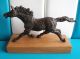 F.  Haufe - Junges Pferd ✨ LiebhaberstÜck ✨ 30cm - Skulptur - Tierfigur 1982 Bronze Bild 7