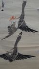 Antikes Japanisches Rollbild Kakejiku Wilde Gänse Japan Scroll 3573 Asiatika: Japan Bild 2