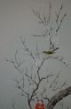 Antikes Japanisches Rollbild Kakejiku Vogel Am Baum Japan Scroll 3552 Asiatika: Japan Bild 1