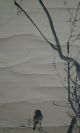 Japanisches Rollbild Kakejiku Kleiner Spatz Auf Einem Baum Japan Scroll 3600 Asiatika: Japan Bild 1