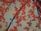 Antikes Japanisches Rollbild Kakejiku Vögel Im Herbst Japan Scroll 3539 Asiatika: Japan Bild 3