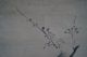 Antikes Japanisches Rollbild Kakejiku Pflaumenblüten Japan Scroll Ume Tree 3345 Asiatika: Japan Bild 2