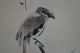 Japanisches Rollbild Kakejiku Musashi - Vogel Auf Einem Strauch Scroll 3504 Asiatika: Japan Bild 1