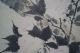Antikes Japanisches Rollbild Kakejiku Blumen Japan Scroll 3444 Asiatika: Japan Bild 2