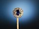 Edle Revers Krawatten Nadel Gold 585 14 Kt Saphir Diamanten Um 1900 Schmuck & Accessoires Bild 1