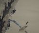 Antikes Japanisches Rollbild Kakejiku Vogel Am Baum Japan Scroll 3557 Asiatika: Japan Bild 2