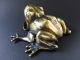 :: Rar Wiener Jugendstil Bronze Frosch Frog Art Nouveau Vienna La Grenouille :: 1890-1919, Jugendstil Bild 4