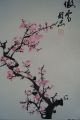 Antikes Japanisches Rollbild Kakejiku Sakura Kirschblüte Japan Scroll 3451 Asiatika: Japan Bild 1
