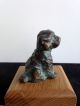 Friedrich Haufe 20.  Jhd.  - Bronze - Kleiner Hund Kunst Bild 2