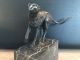Bronzefigur Tierfigur Gepard Auf Rauchmarmor - Sockel Signiert Milo Bronze Bild 2