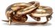 Um 1880: Schöne Knoten Brosche Aus Gold Doublé / Lovers Knot Brooch Schmuck nach Epochen Bild 3