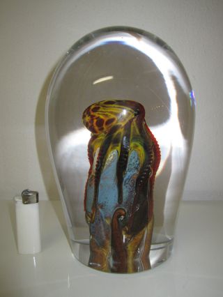 Glasskulptur / Paperweights / Briefbeschwerer / Tintenfisch - Octopus Galeriestuck Bild