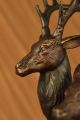 Bronze - Skulptur Signiert Große Moigniez Hirsch Tierwelt - - Antike Bild 10