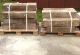 15 Antike Sandstein Treppe Stufen Rot Grün Stein Blockstufe Gewölbe Wein Keller Antike Bild 7