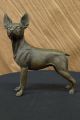 Bronze Skulptur Chihuahua - Hund Haustier Tierkunst Deko Figur Von Barye Abbildung Antike Bild 1