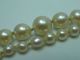 Klasse Alte Salzwasser Collier Perlenkette Mit Schließe Aus 333 Gold Ketten Bild 2
