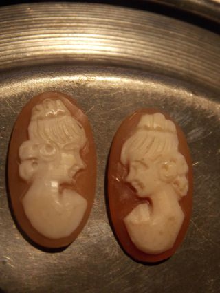 Paar 2 Alte Antike Gemme Kamee Cameo Muschel Ungefasst Für Ohrringe Brosche Ring Bild