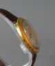 Vintage Bifora Herren Armbanduhr,  17 Jewel,  Antichock,  Waterprotected Uhren Bild 2