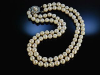 Vintage Akoya Zuchtperlen Collier 2 Reihig Gold 585 Perlenkette Hamburg Um 1965 Bild