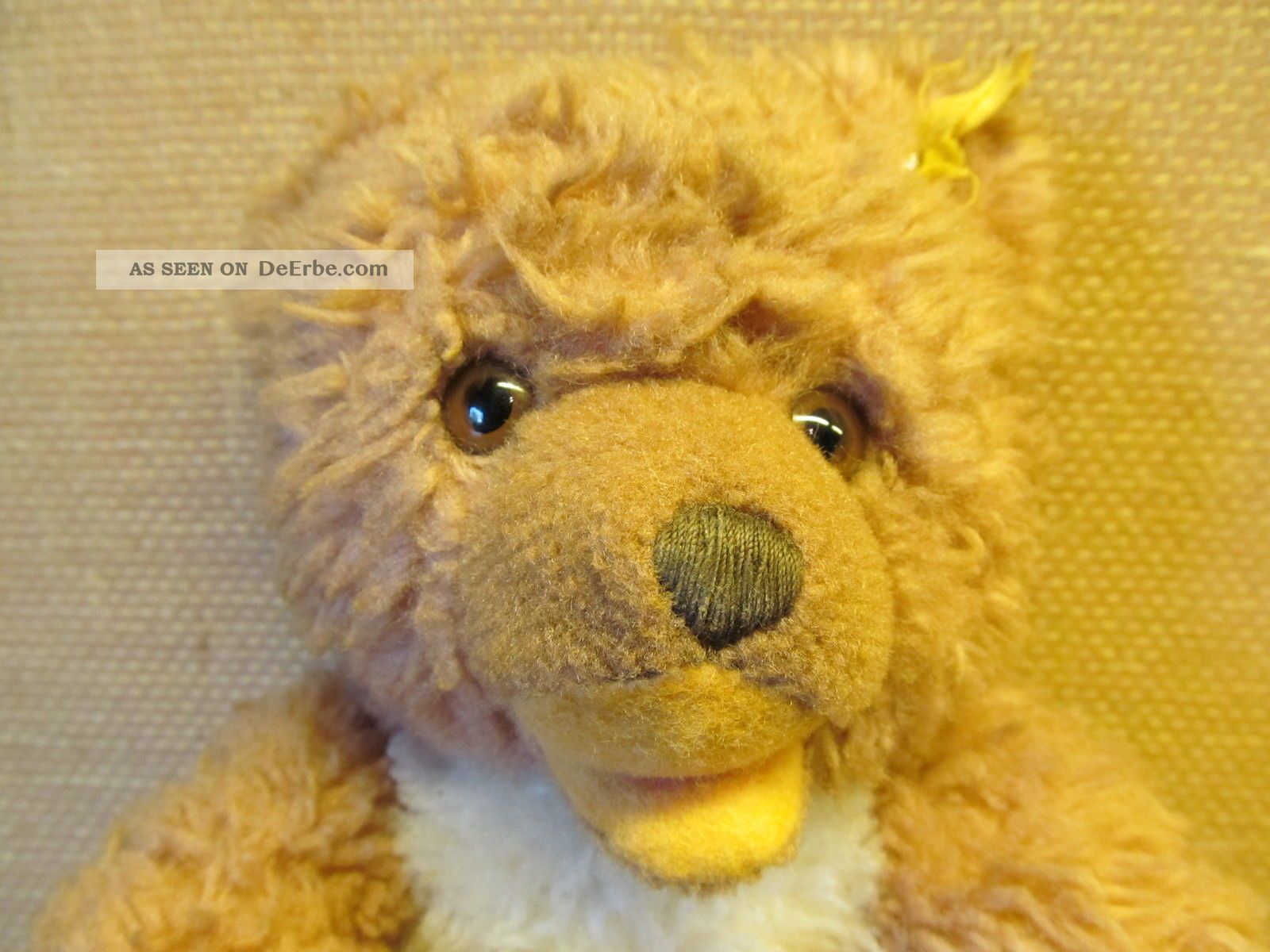 Alter Steiff - Teddy Mit Kleinem Knopf U.  Restfahne. .  - - - - - - - Siehe Bilder Steiff Bild