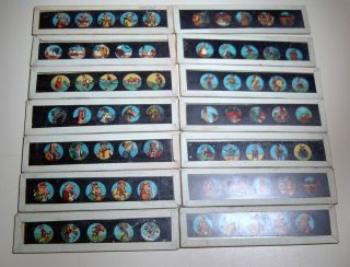 24 Laterna Magica Glasbilder Um 1900 9,  8 X 2,  4 Cm Bild