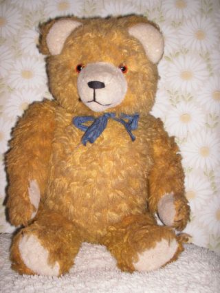 Alter Teddy Teddybär Bär Spielzeug Ddr Dachbodenfund Deko Antik Rarität Bild