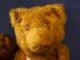 Teddy Antik Bär Gruß Aus Berlin 2 Stück Stofftiere & Teddybären Bild 1