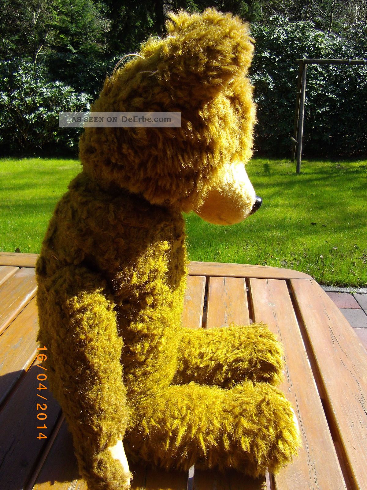 Teddybär Alt