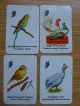 1 Quartett Tiere 24 Karten Alt Gefertigt nach 1945 Bild 7