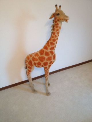 Steiff Giraffen Sammlung Aus Den 60/70 Jahren Bild