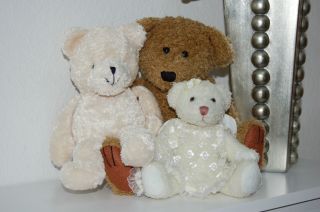 Teddybär,  Teddysammlung Teddy Mit Flügel,  Bärensammlung Bild