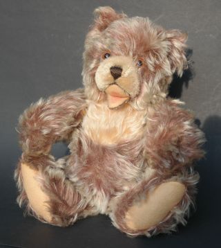 Steiff Teddy Zotty 30 Cm Antik Mohair Bear Bär Steiffteddy Sammlerbär Bild