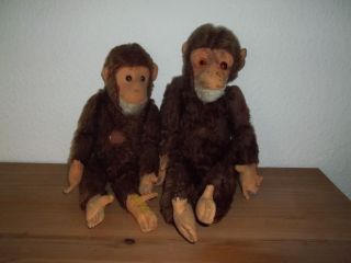 2 Sammler Bastler Affen Antik Bild