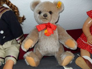 Teddybär Bild